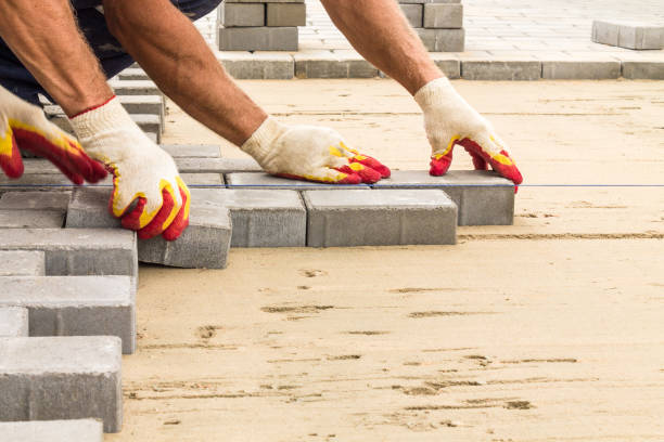 Best Driveway Paving Contractor  in Quitman, MS