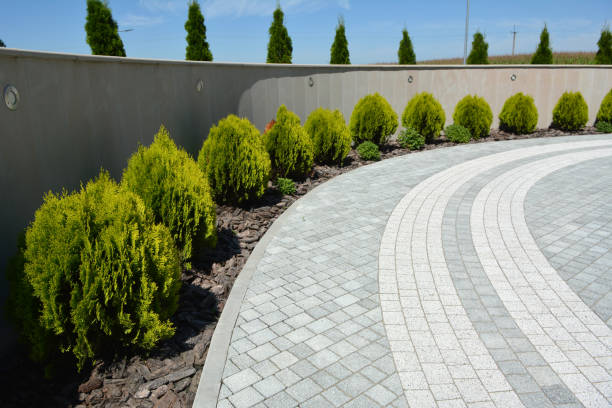 Reasons to Select Us for Your Driveway Paving Requirements in Quitman, MS